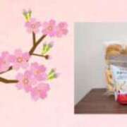 ヒメ日記 2025/04/06 07:50 投稿 柊蓮 こあくまな熟女たち 千葉店（KOAKUMAグループ）