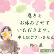 柊蓮 お詫び こあくまな熟女たち 千葉店（KOAKUMAグループ）