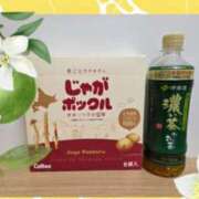 ヒメ日記 2026/08/07 07:00 投稿 柊蓮 こあくまな熟女たち 千葉店（KOAKUMAグループ）