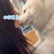 ヒメ日記 2025/03/23 10:55 投稿 水神　里美-KINDAN- KINDAN-禁断-