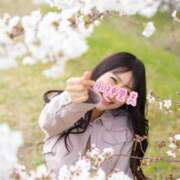 ヒメ日記 2025/04/13 08:58 投稿 水神　里美-KINDAN- KINDAN-禁断-