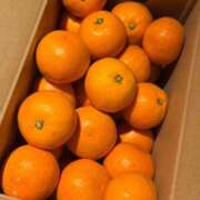 ヒメ日記 2025/11/15 23:50 投稿 水神　里美-KINDAN- KINDAN-禁断-