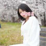 ヒメ日記 2025/11/16 17:53 投稿 水神　里美-KINDAN- KINDAN-禁断-