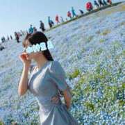 ヒメ日記 2025/11/24 07:57 投稿 水神　里美-KINDAN- KINDAN-禁断-