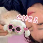 ヒメ日記 2025/11/28 00:25 投稿 水神　里美-KINDAN- KINDAN-禁断-