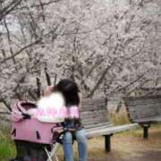 ヒメ日記 2026/03/10 12:03 投稿 水神　里美-KINDAN- KINDAN-禁断-