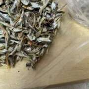 ヒメ日記 2026/03/13 02:24 投稿 水神　里美-KINDAN- KINDAN-禁断-