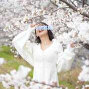 ヒメ日記 2026/04/03 20:31 投稿 水神　里美-KINDAN- KINDAN-禁断-