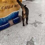 ヒメ日記 2026/04/17 07:03 投稿 水神　里美-KINDAN- KINDAN-禁断-