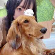 ヒメ日記 2025/06/17 02:46 投稿 ユア ロボットデリヘル