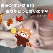 ヒメ日記 2023/11/07 15:16 投稿 Waka THE PREMIUM （プレミアム）