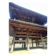 ヒメ日記 2025/03/27 16:35 投稿 Waka THE PREMIUM （プレミアム）