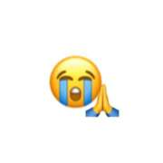 ヒメ日記 2026/04/14 15:06 投稿 Waka THE PREMIUM （プレミアム）