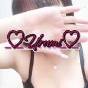 ヒメ日記 2024/12/30 05:00 投稿 うるみ 奥様特急新潟店