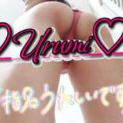 ヒメ日記 2025/01/02 21:10 投稿 うるみ 奥様特急新潟店