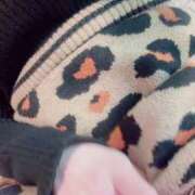 ヒメ日記 2025/01/29 14:00 投稿 うるみ 奥様特急新潟店