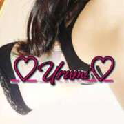 ヒメ日記 2025/08/16 03:40 投稿 うるみ 奥様特急新潟店