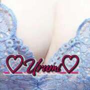 ヒメ日記 2025/10/05 03:50 投稿 うるみ 奥様特急新潟店