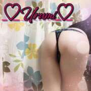 ヒメ日記 2025/12/02 03:30 投稿 うるみ 奥様特急新潟店