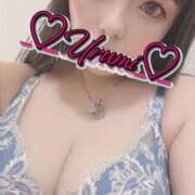 ヒメ日記 2026/01/26 16:50 投稿 うるみ 奥様特急新潟店