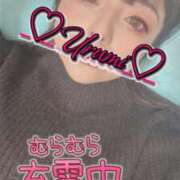 ヒメ日記 2026/03/19 16:20 投稿 うるみ 奥様特急新潟店