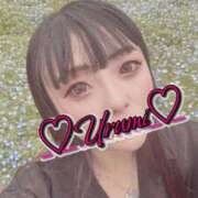 ヒメ日記 2026/04/15 00:20 投稿 うるみ 奥様特急新潟店