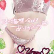 ヒメ日記 2026/04/26 04:00 投稿 うるみ 奥様特急新潟店