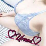 ヒメ日記 2025/01/15 04:43 投稿 うるみ 奥様特急三条店