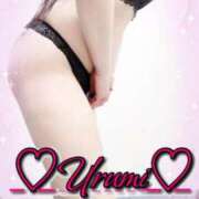 ヒメ日記 2025/05/17 21:03 投稿 うるみ 奥様特急三条店