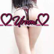 ヒメ日記 2025/05/24 03:23 投稿 うるみ 奥様特急三条店