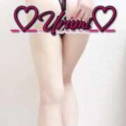 ヒメ日記 2025/09/11 03:41 投稿 うるみ 奥様特急三条店