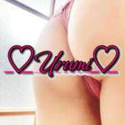 ヒメ日記 2025/09/13 01:03 投稿 うるみ 奥様特急三条店