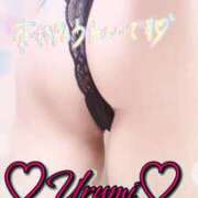 ヒメ日記 2025/11/08 04:13 投稿 うるみ 奥様特急三条店