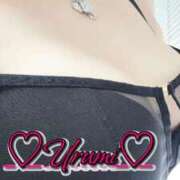 ヒメ日記 2025/11/10 02:53 投稿 うるみ 奥様特急三条店