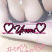 ヒメ日記 2025/12/07 00:14 投稿 うるみ 奥様特急三条店