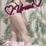 ヒメ日記 2025/12/31 00:33 投稿 うるみ 奥様特急三条店