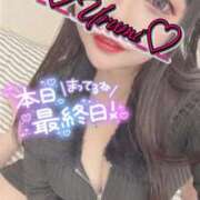 ヒメ日記 2026/04/26 15:43 投稿 うるみ 奥様特急三条店