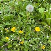 ヒメ日記 2025/05/18 15:50 投稿 牧島 上野CLUB A(クラブ エー)