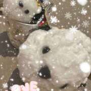 ヒメ日記 2026/03/07 10:20 投稿 牧島 上野CLUB A(クラブ エー)