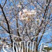 ヒメ日記 2026/03/29 21:31 投稿 牧島 上野CLUB A(クラブ エー)