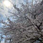 ヒメ日記 2025/04/08 14:13 投稿 りょう 新宿大久保 Aroma Cumpus