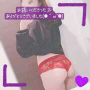 ヒメ日記 2024/12/28 15:20 投稿 ぱぴこ スピードエコ天王寺店