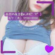 ヒメ日記 2025/04/07 09:50 投稿 ぱぴこ スピードエコ天王寺店