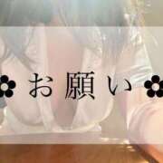 ヒメ日記 2025/04/15 10:54 投稿 小夏　あいか NADIA神戸店