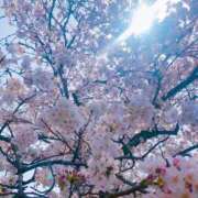 ヒメ日記 2026/03/29 14:03 投稿 篠田えり グランエステ東京 品川（シンデレラグループ）