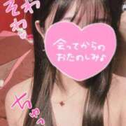 ヒメ日記 2026/03/06 19:19 投稿 イチカ ドＭなバニーちゃん小倉店