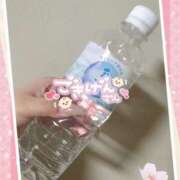 ヒメ日記 2025/05/06 11:50 投稿 るる 甘熟クラブ