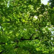 ヒメ日記 2025/05/03 13:48 投稿 さとみ 満天堂