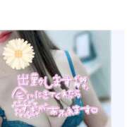 ヒメ日記 2025/04/04 12:56 投稿 あかり ミスミセス伊勢崎店