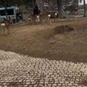 ヒメ日記 2025/03/11 17:22 投稿 千晃/ちあき STYLISH BACH